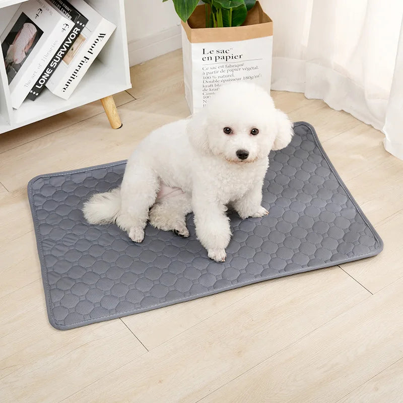 Reusable Waterproof Dog Pee Pad – Washable Absorbent Pet Training Mat