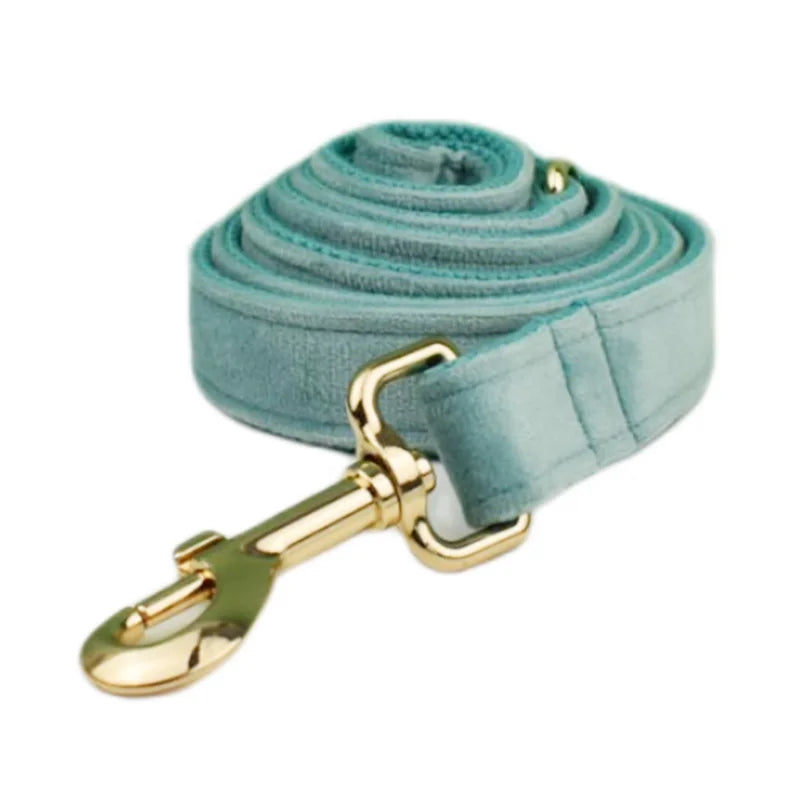 Green Velvet Personalized Dog Collar, Leash & Harness Set