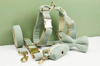 High Quality Light Green Corduroy Dog Collar, Harness & Leash Set – Personalized Engraved Nameplate, Padded
