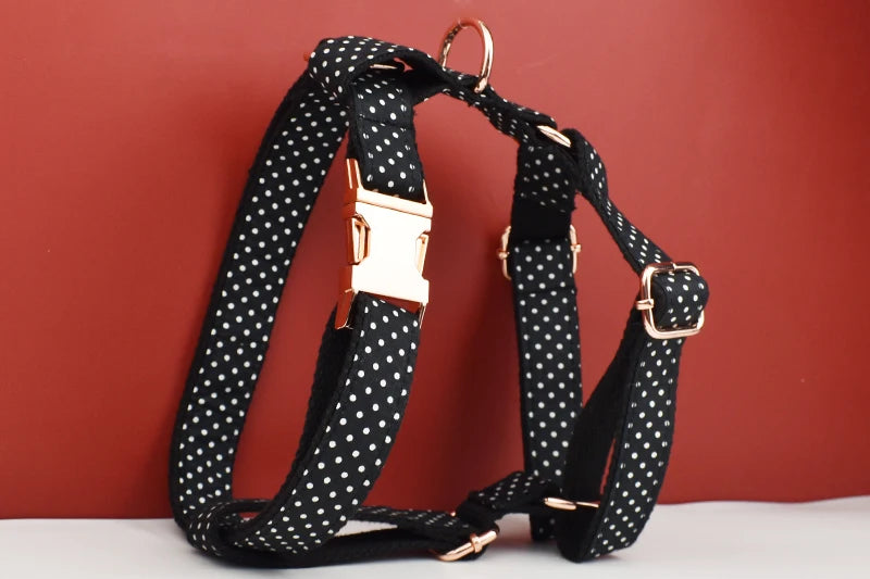 Personalized Dog Collar, Leash & Harness Set