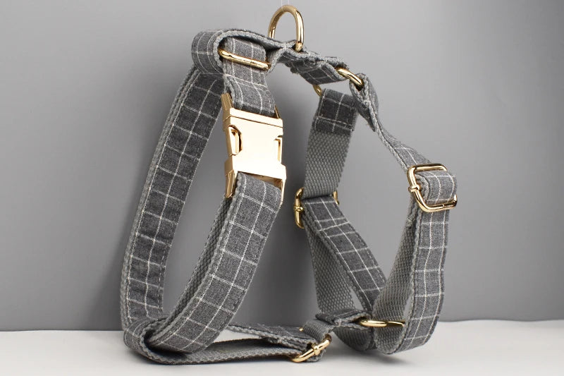 Personalized Dog Collar, Leash & Harness Set