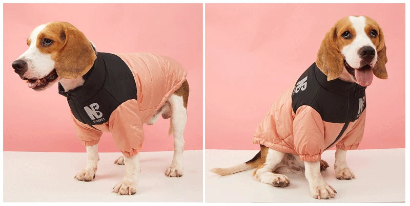 Winter Warm Dog Jacket | Thick, Windproof Coat
