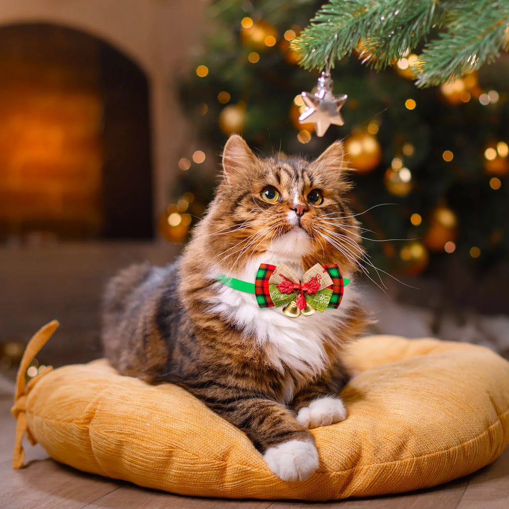 Christmas Dog Collar with Bell & Tie – Festive Adjustable Collar for Dogs & Cats