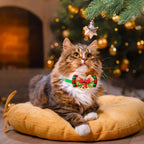 Christmas Dog Collar with Bell & Tie – Festive Adjustable Collar for Dogs & Cats