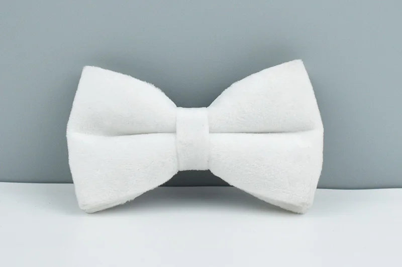 White Velvet Personalized Dog Collar, Leash & Harness Set