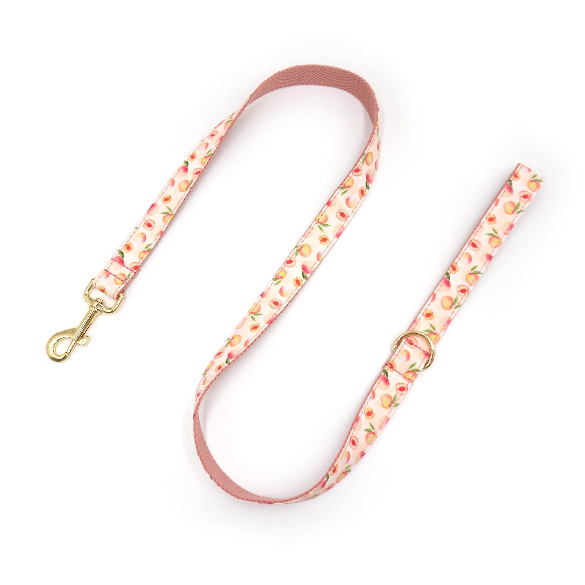 Summer Fruit Personalized Dog Bowtie Collar and Leash Set, Custom Laser Pet Necklace, Cute Pet Accessory