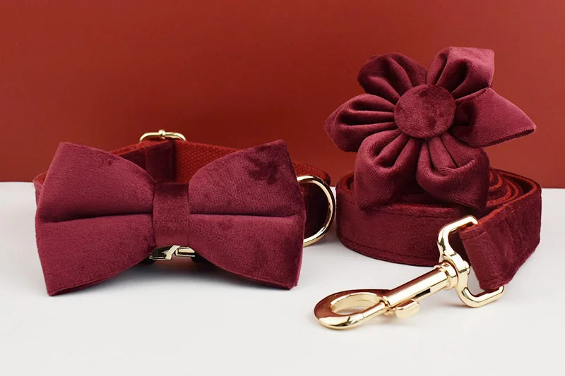 Red Wine Velvet Personalized Dog Collar, Leash & Harness Set