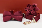 Red Wine Velvet Personalized Dog Collar, Leash & Harness Set