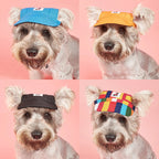 Dog Sun Hat – Adjustable Canvas Baseball Cap for Small & Medium Dogs