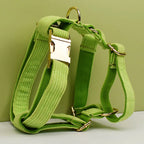 Apple Fruit Green Corduroy Personalized Dog Collar, Leash & Harness Set