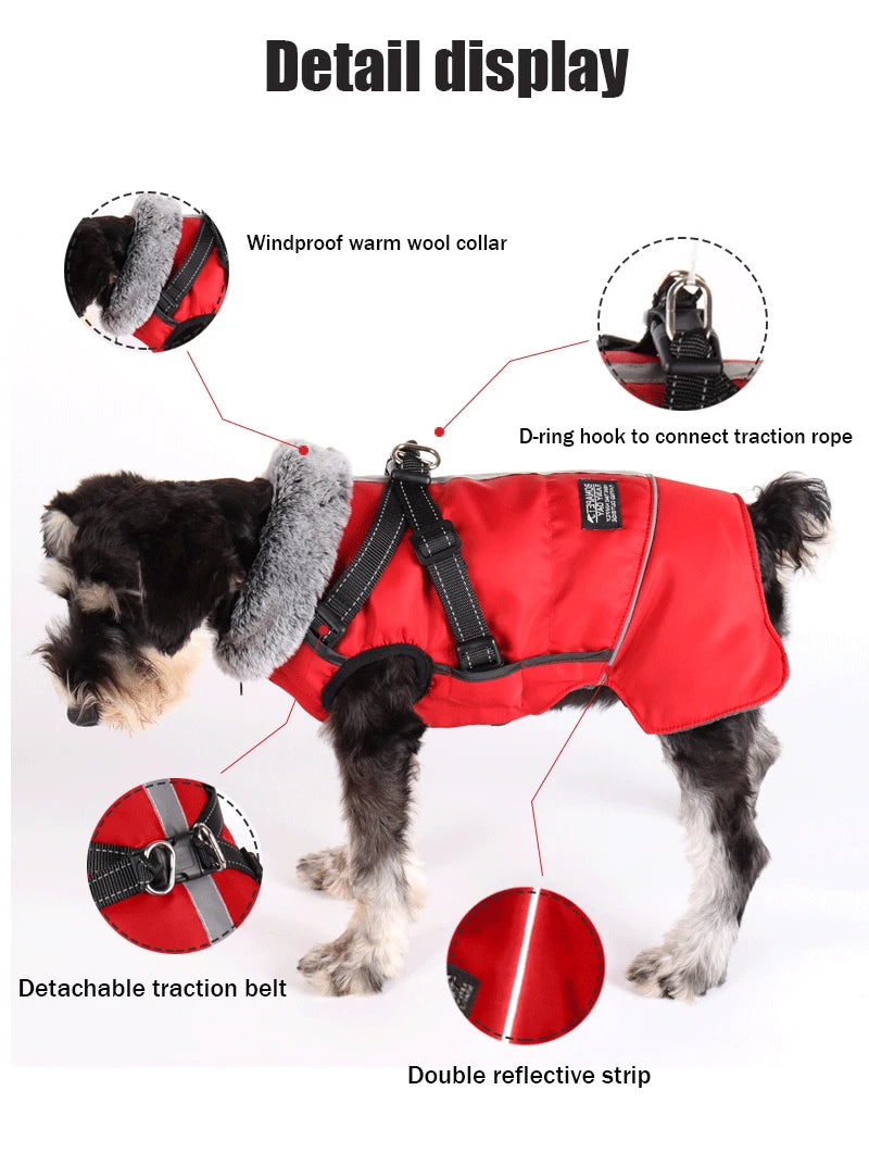 Winter Dog Jacket with Harness – Waterproof, Windproof Coat for Small & Medium Dogs