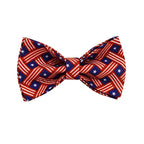 Plaid America Flag Set