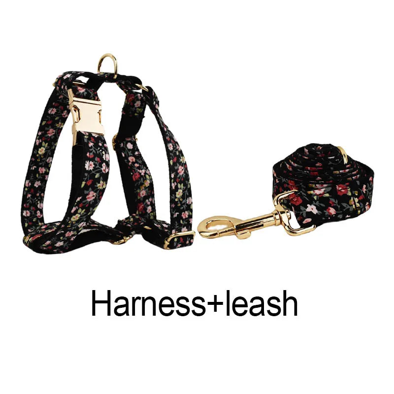 Personalized Dog Collar, Leash & Harness Set