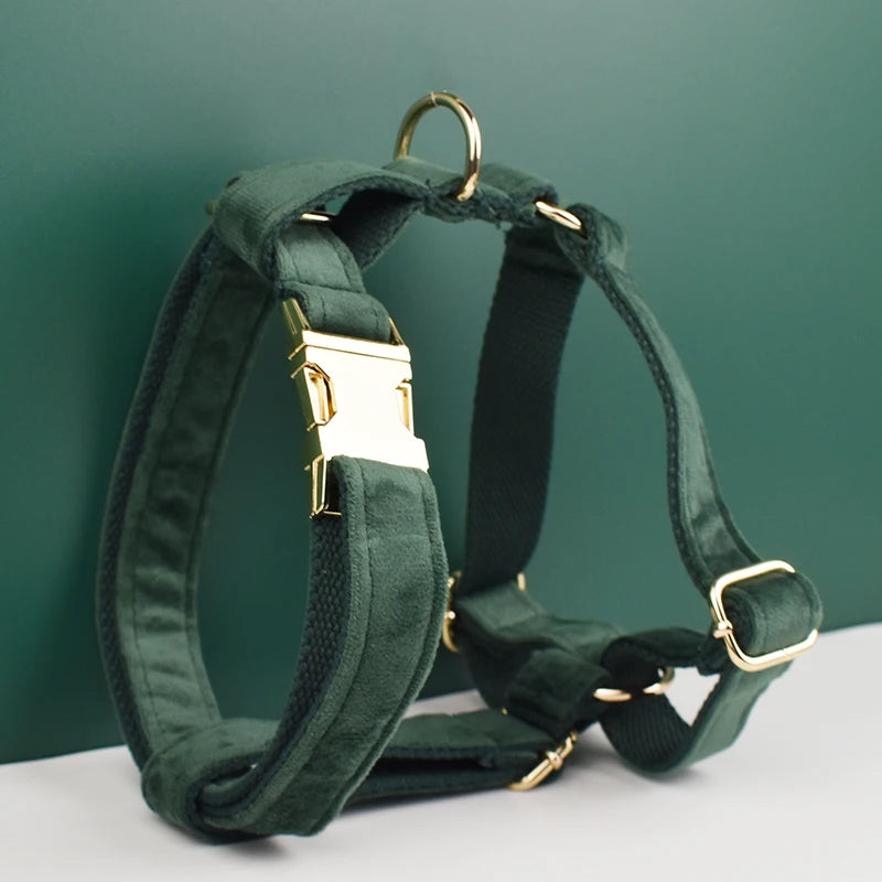 Velvet Personalized Dog Collar, Leash & Harness Set