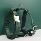 Velvet Personalized Dog Collar, Leash & Harness Set