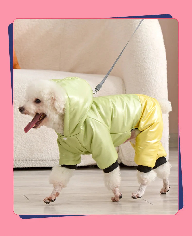 Waterproof Winter Dog Jacket – Warm Down Coat with Hood for Small Dogs