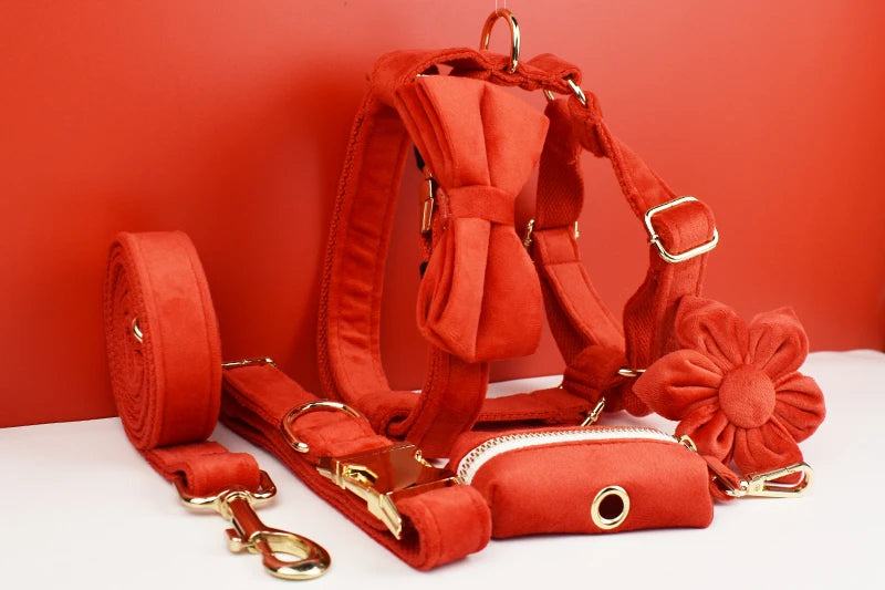 Red Velvet Personalized Dog Collar, Leash & Harness Set
