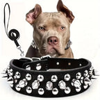 Spiked Dog Collar & Leash Set – Adjustable Leather Rivet Design for Outdoor Walking
