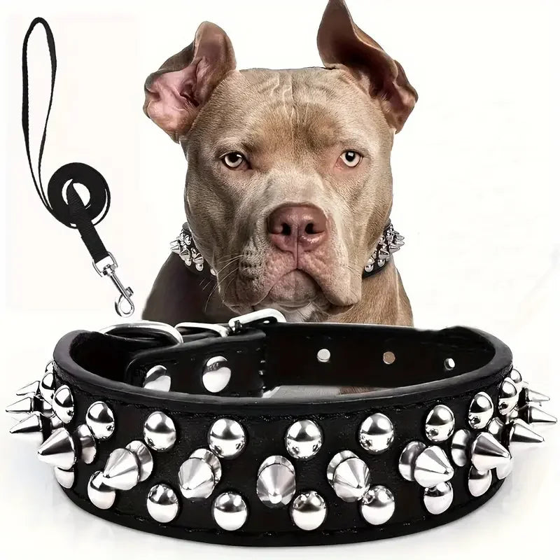 Spiked Dog Collar & Leash Set – Adjustable Leather Rivet Design for Outdoor Walking