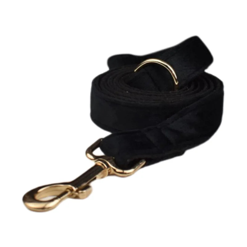 Black Velvet Personalized Dog Collar, Leash & Harness Set