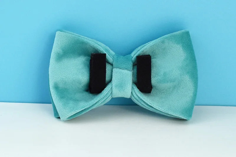 Turquoise Stone Velvet Personalized Dog Collar, Leash & Harness Set