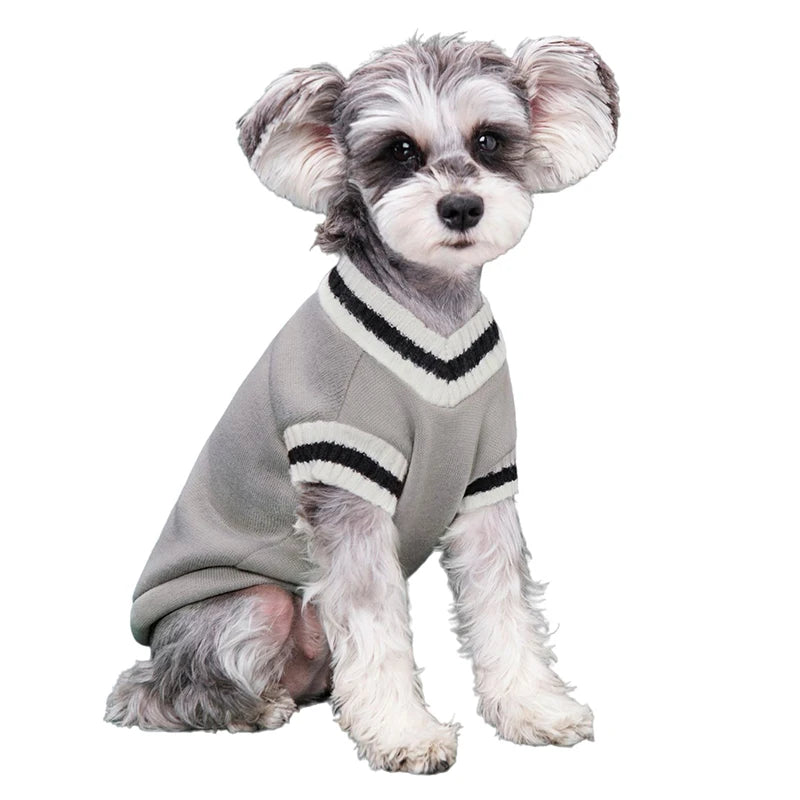 College Style Dog Sweater – Warm Winter Vest for Small & Medium Dogs