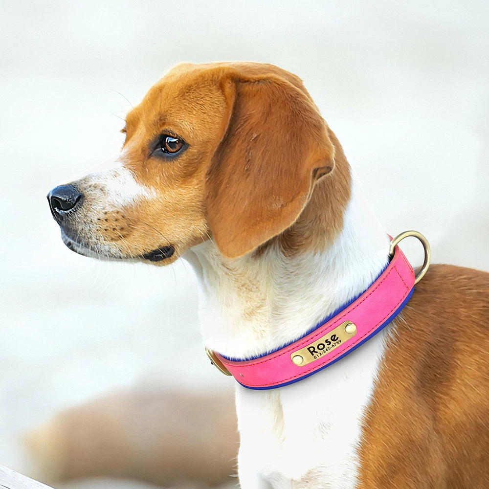 Personalized PU Leather Dog Collar – Soft Padded & Adjustable Custom ID Collar