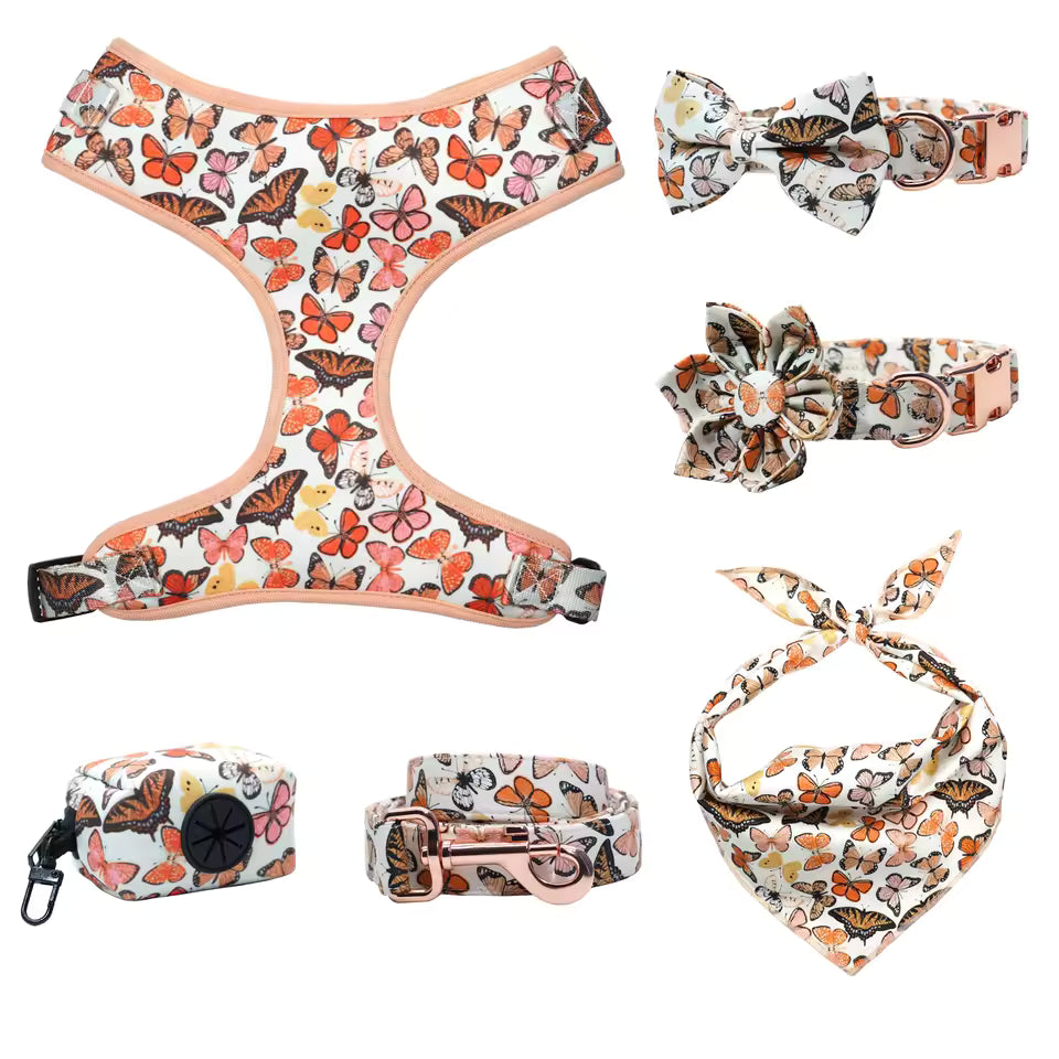D&D Paws Designed Butterfly Dog Vest Set