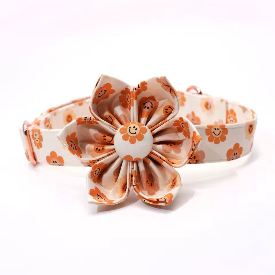 Designed Autumn Dot Dog Vest Set
