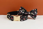 Personalized Dog Collar, Leash & Harness Set
