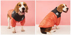 Winter Warm Dog Jacket | Thick, Windproof Coat