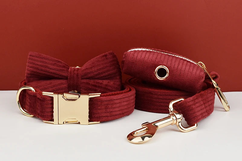 Personalized Dog Collar, Leash & Harness Set