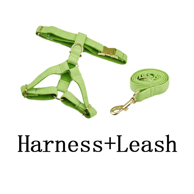 Apple Fruit Green Corduroy Personalized Dog Collar, Leash & Harness Set