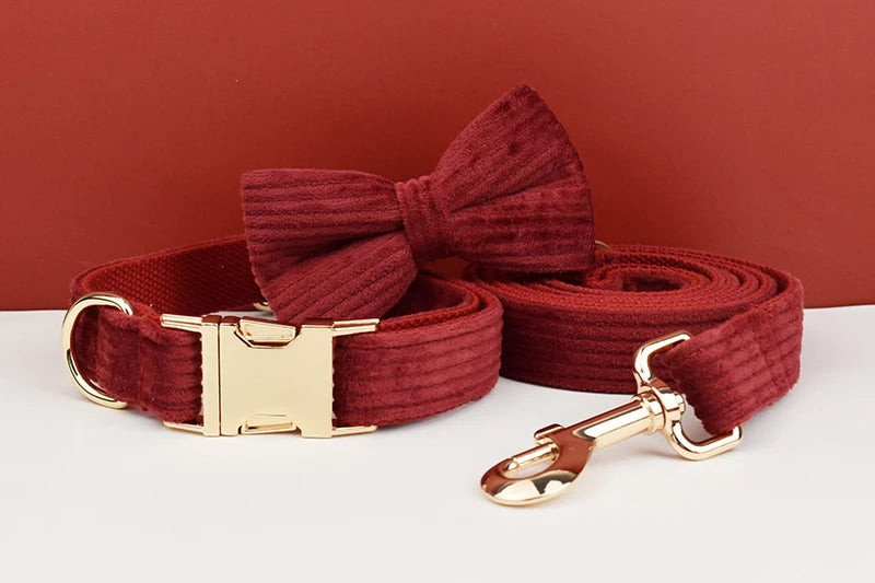 Personalized Dog Collar, Leash & Harness Set