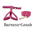Rose Red Velvet Dog Collar Leash and Harness Set