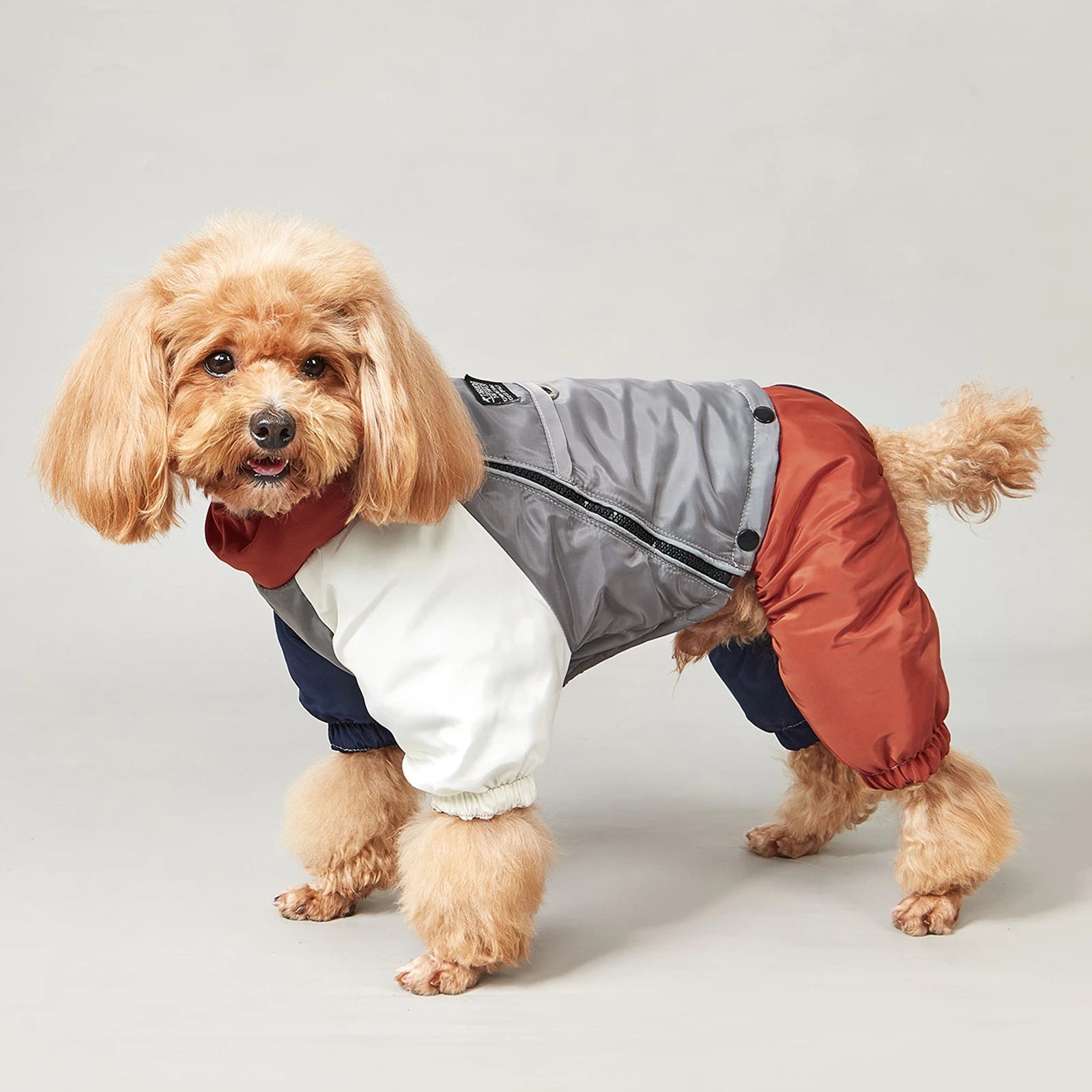 Winter Dog Jacket with Traction Ring – Thick, Windproof & Warm Coat for Medium & Large Dogs