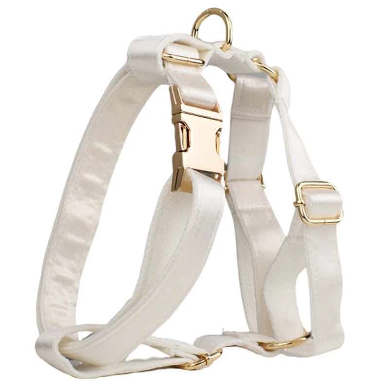 White Personalized Dog Collar, Leash & Harness Set