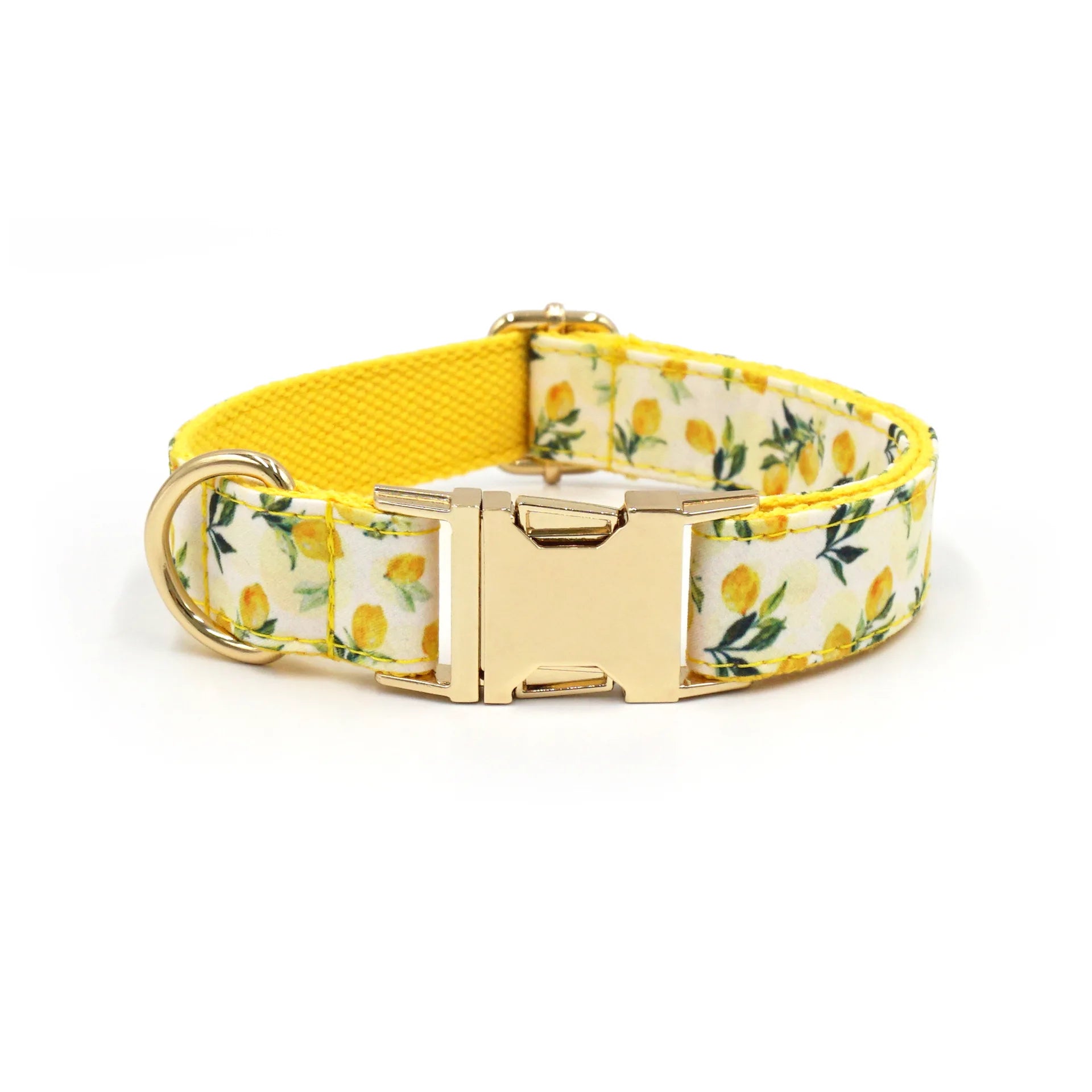 Summer Fruit Personalized Dog Bowtie Collar and Leash Set, Custom Laser Pet Necklace, Cute Pet Accessory