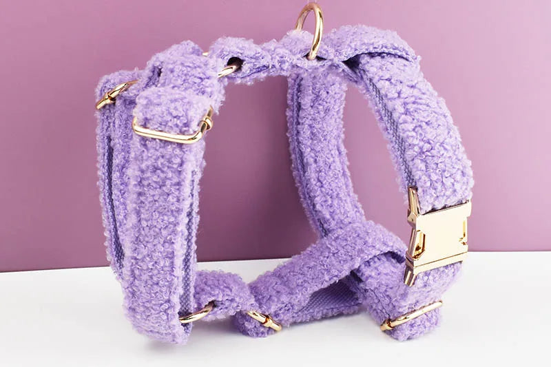 Teddy Velvet Personalized Dog Collar, Leash & Harness Set