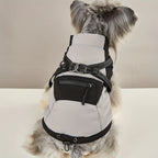 Waterproof Winter Dog Jacket with Harness – Warm Outdoor Coat for Small & Medium Dogs