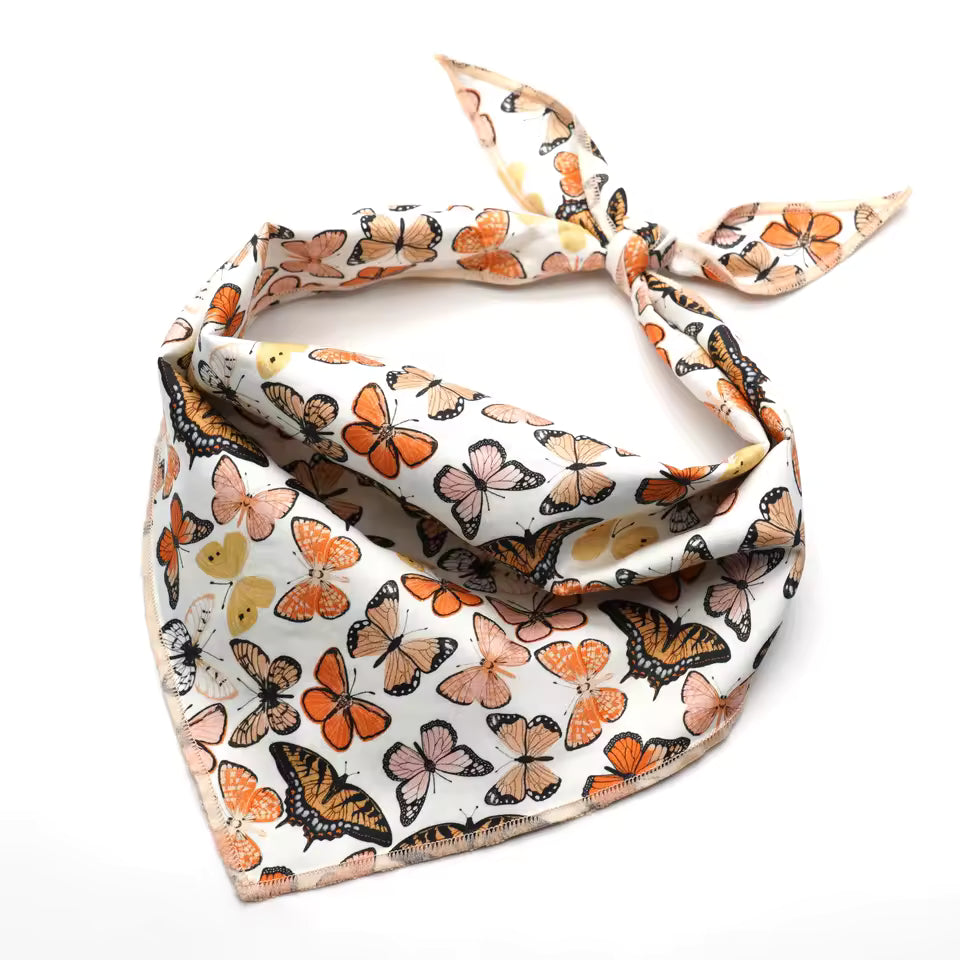 D&D Paws Bandana Designed Butterfly Dog Vest Set