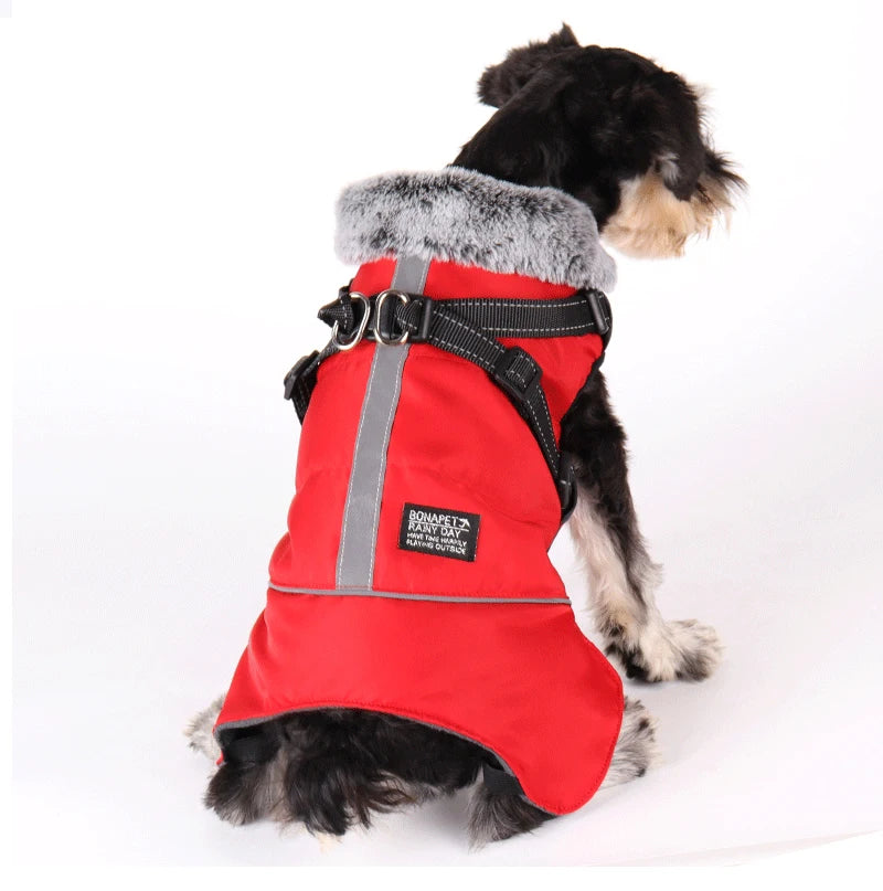 Winter Dog Jacket with Harness – Waterproof, Windproof Coat for Small & Medium Dogs