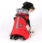 Winter Dog Jacket with Harness – Waterproof, Windproof Coat for Small & Medium Dogs