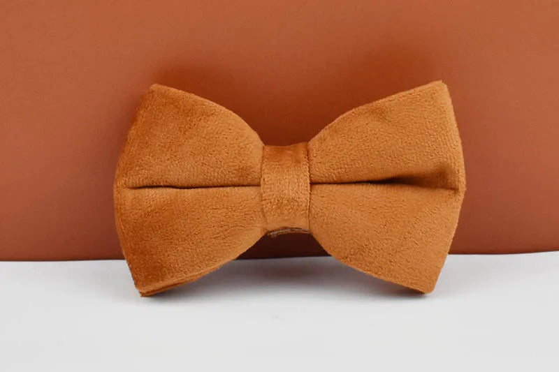 Ancient Pottery Velvet Personalized Dog Collar, Leash & Harness Set