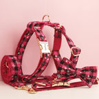 Christmas Personalized Dog Collar, Leash & Harness Set