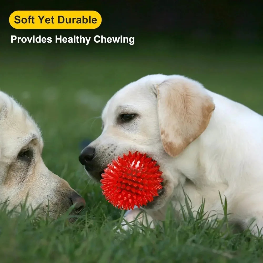 Squeaky Spiky Dog Ball – Durable Chew Toy for Teething Puppies & Aggressive Chewers