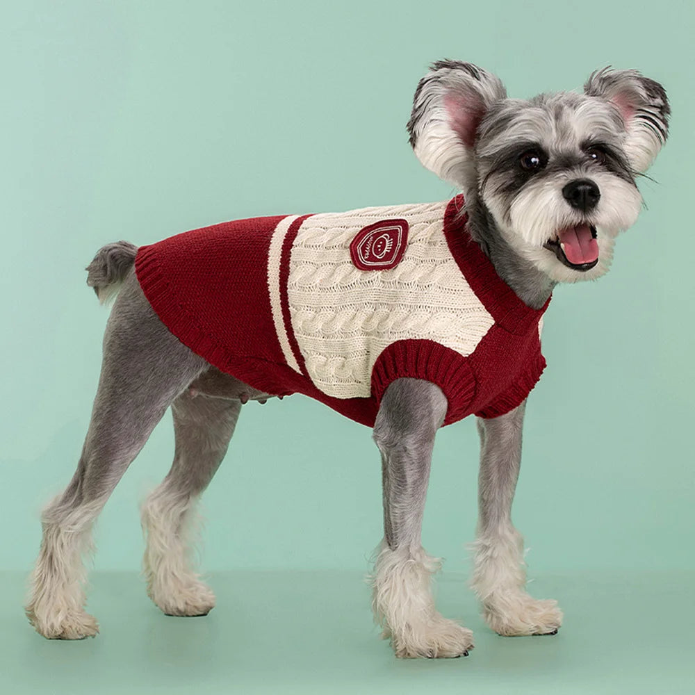 Warm Knitted Dog Sweater – College Style Pullover for Small & Medium Dogs
