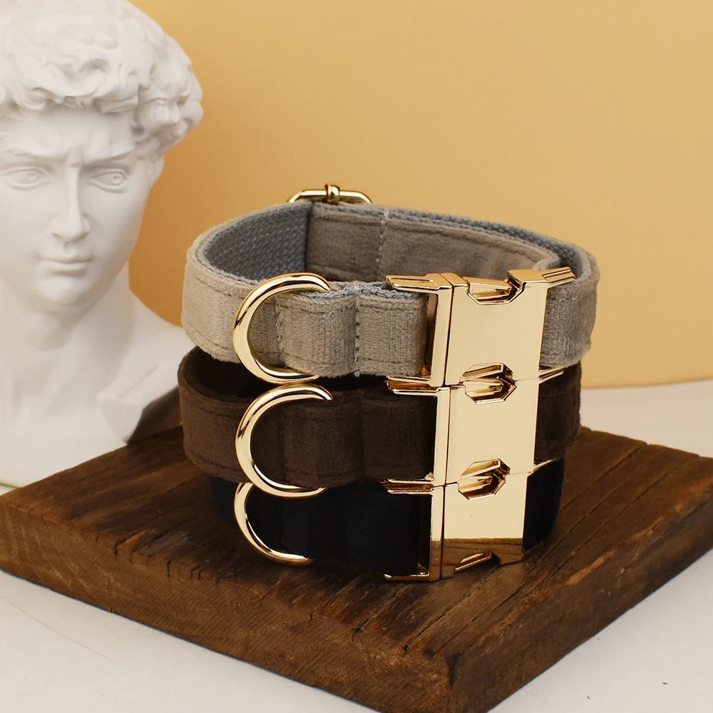 High Quality Dog Collar & Leash Set – Personalized Engraved Nameplate, Padded