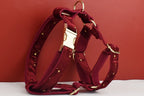 Red Personalized Dog Collar, Leash & Harness Set