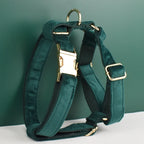Green Velvet Personalized Dog Collar, Leash & Harness Set